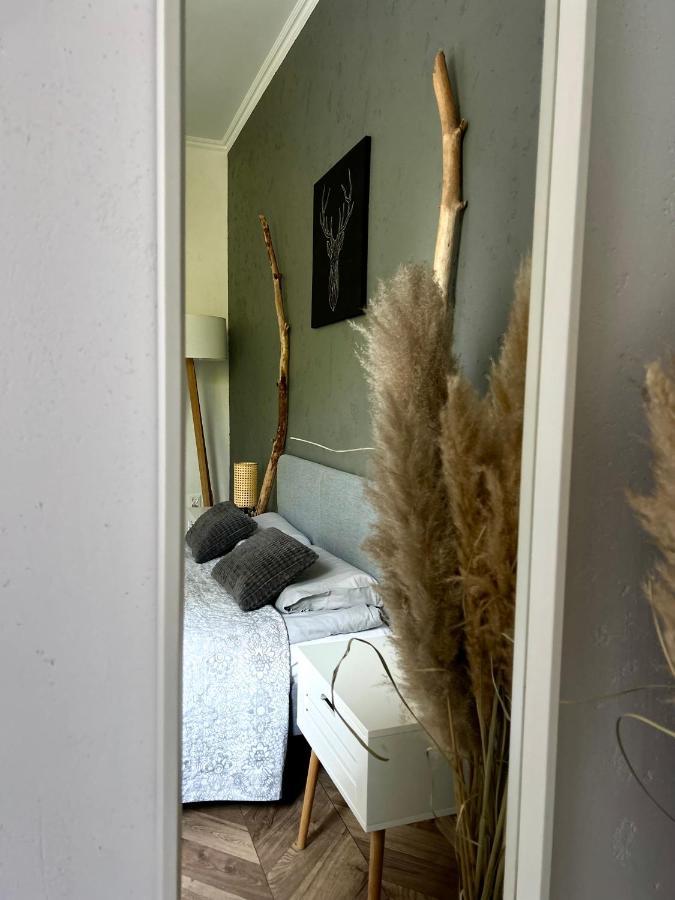Apartament Centrum A ベジヘロボ エクステリア 写真